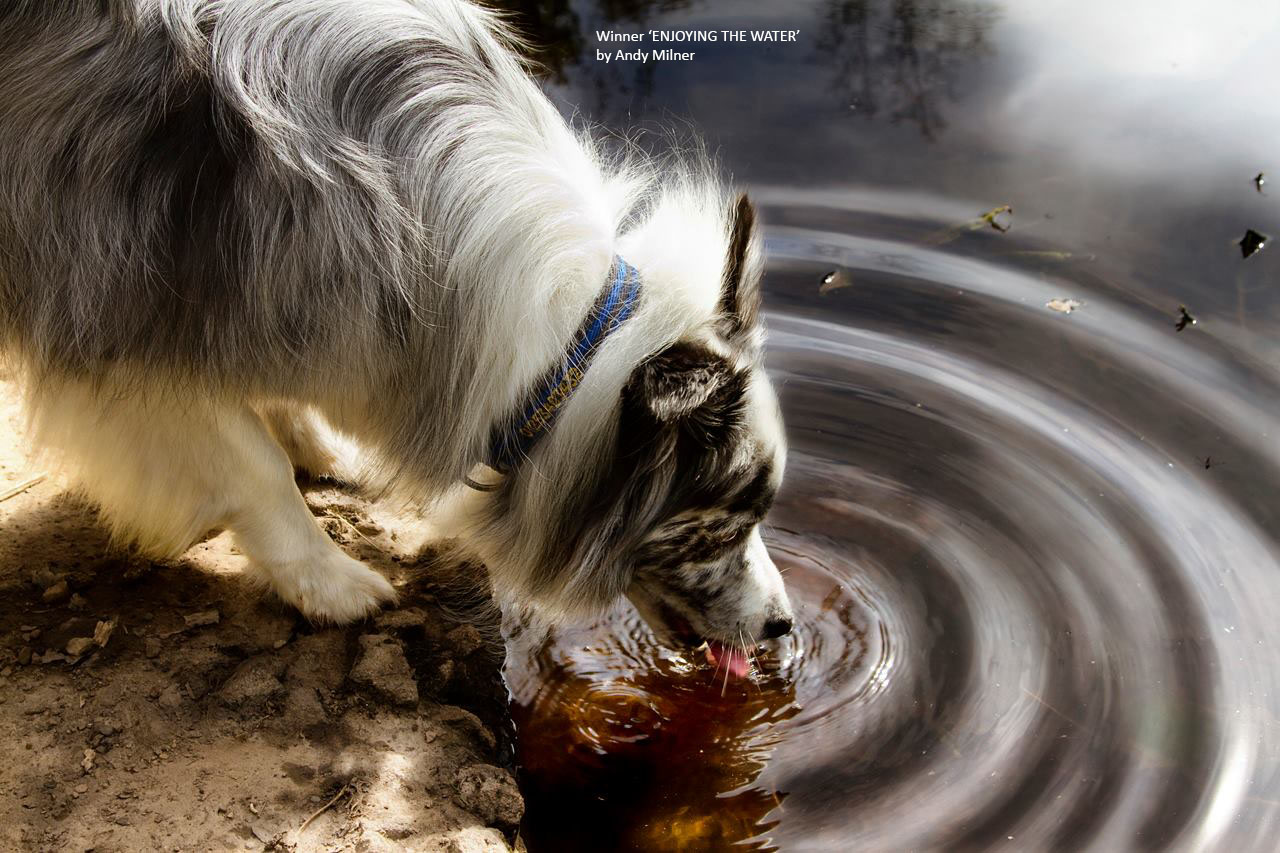 Enjoying Water